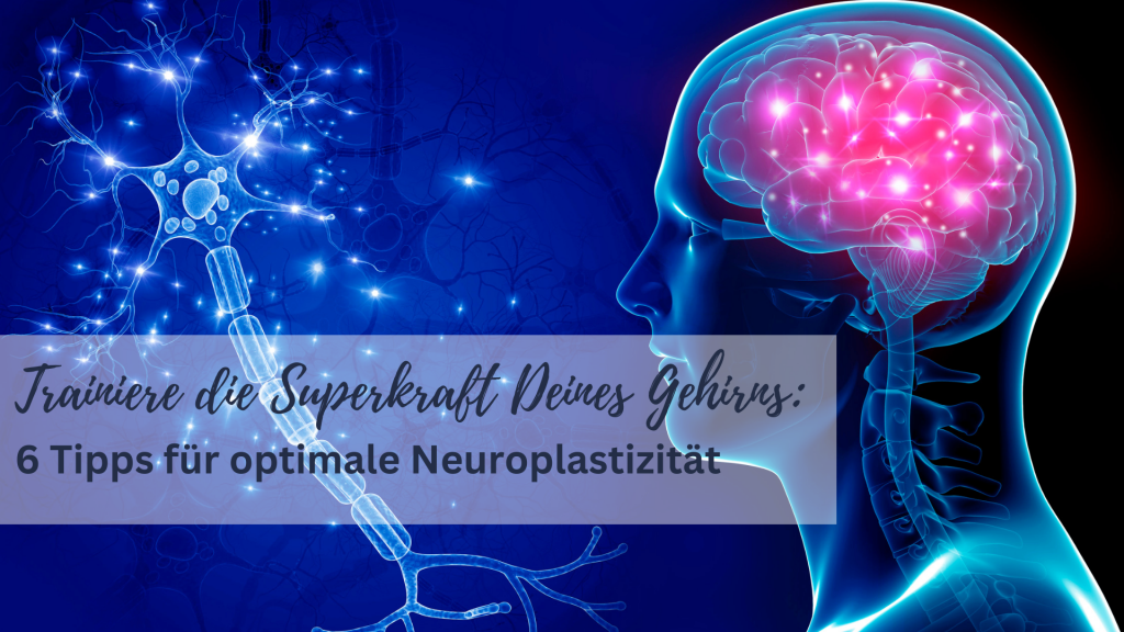 Die Superkraft Deines Gehirns: 6 Tipps für optimale Neuroplastizität