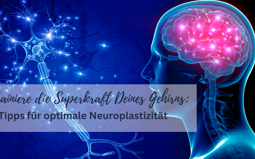 Die Superkraft Deines Gehirns: 6 Tipps für optimale Neuroplastizität