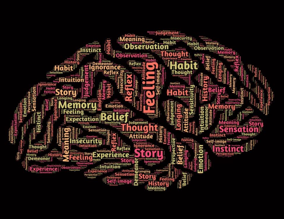 Brain development and early childhood reflexes